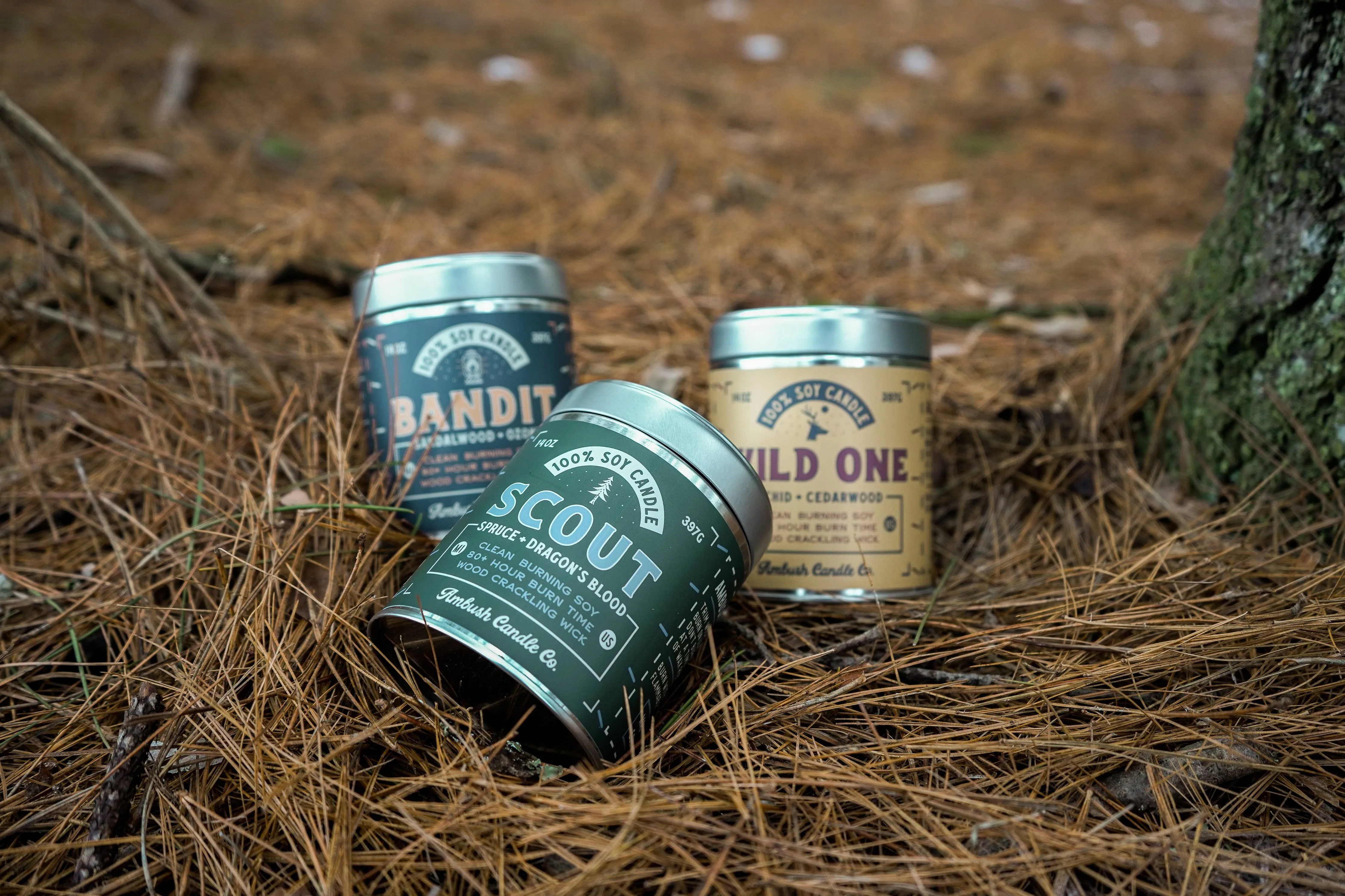 Scout | Spruce   Dragon's Blood 14oz Soy Candle