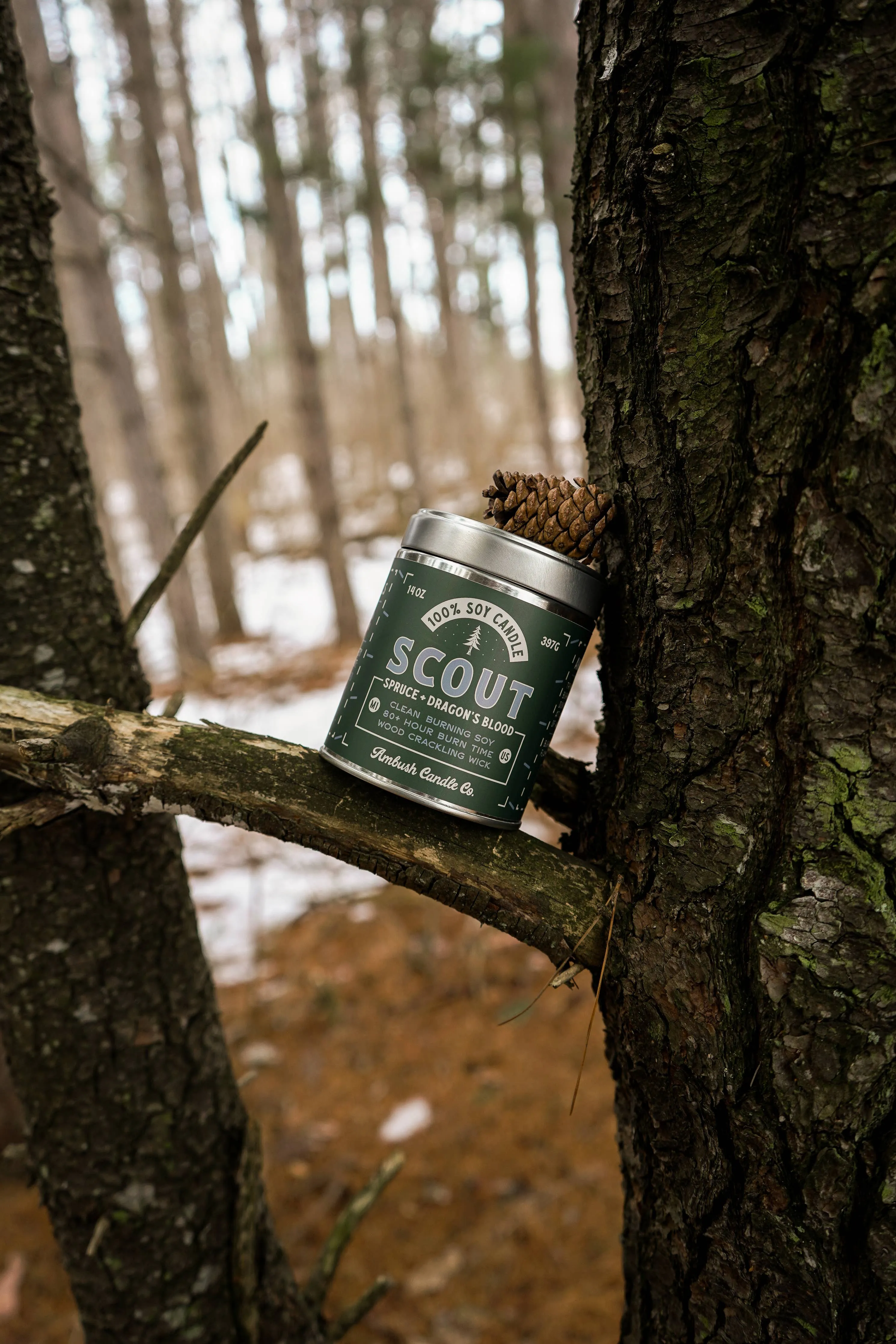 Scout | Spruce   Dragon's Blood 14oz Soy Candle