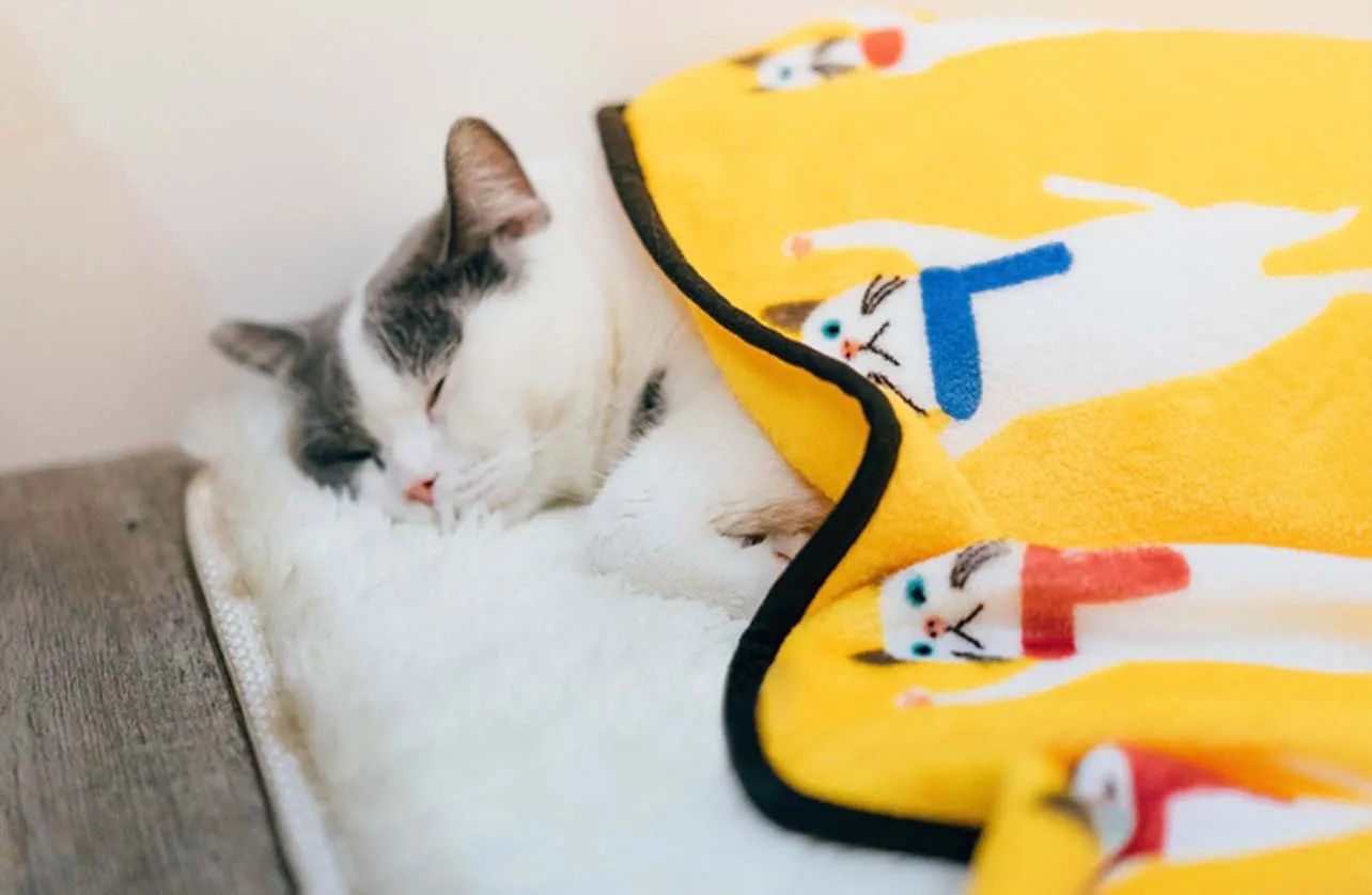 Super Soft Fluffy Premium Fleece Pet Blanket, Hands Up Cat